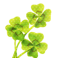 𓏏𓏏 Tik Tok 🍋‍🟩 . ♡ॱ𓏽